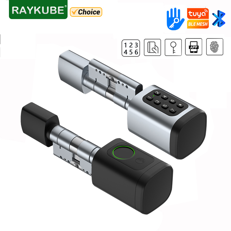 RAYKUBE V1 Tuya BLE TT serrure - Diy Waterproof Electronics avis et prix